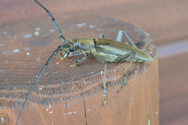 �~���}�J�~�L��