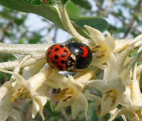 �i�~�e���g�E