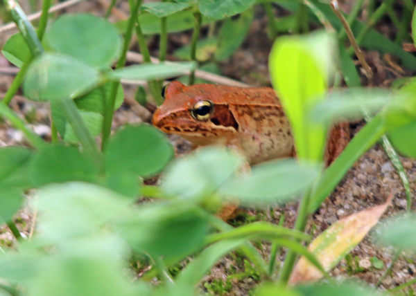 �j�z���A�J�K�G��