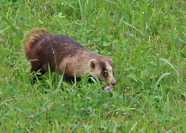 �j�z���A�i�O�}