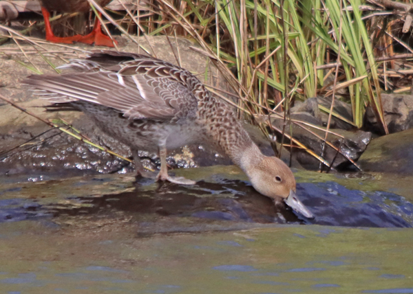 �I�i�K�K��