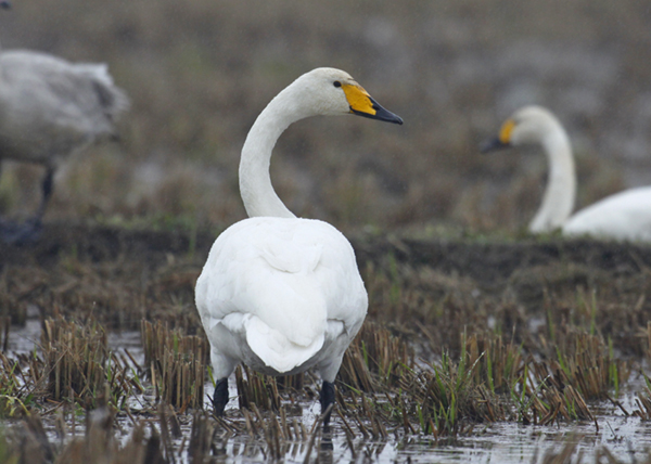 �I�I�n�N�`���E