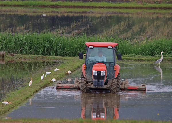 �T�M�ƃg���N�^�[