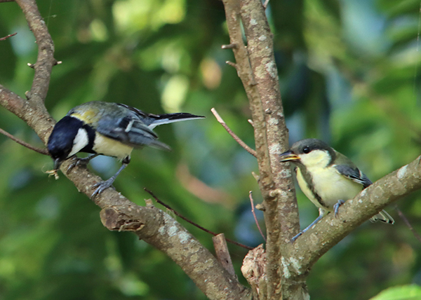 �V�W���E�J��