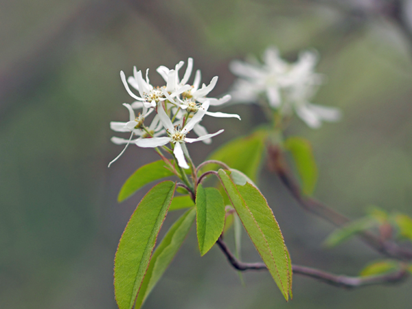 �U�C�t���{�N