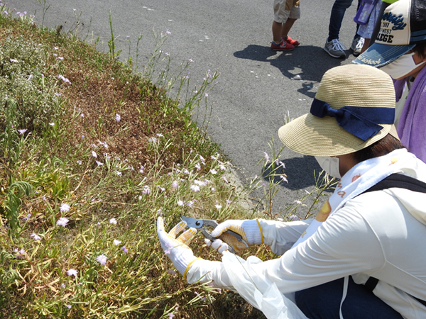 �ώ@��̂悤��