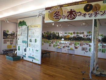 楽しい冬の木ウォッチング