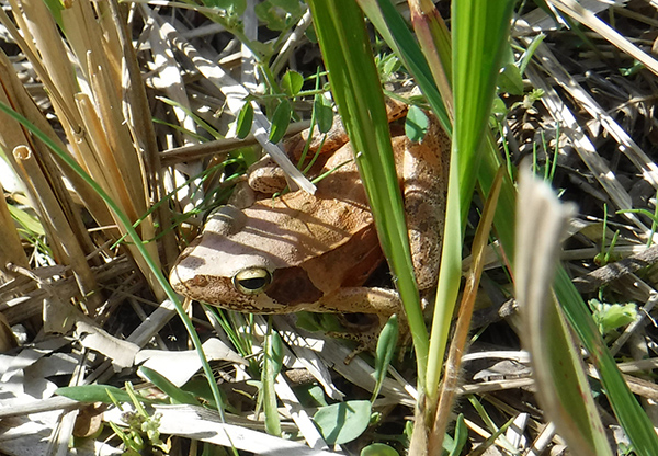 �j�z���A�J�K�G��