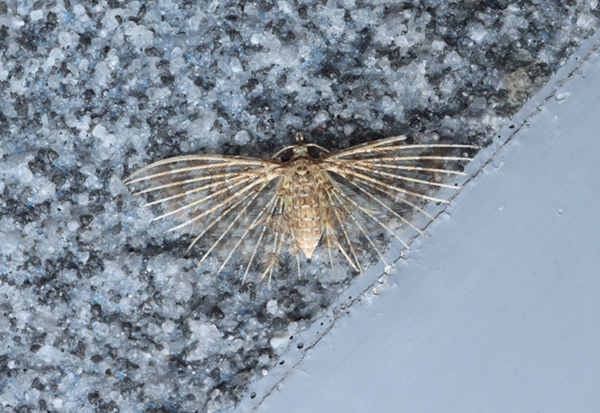 �j�W���E�g���o