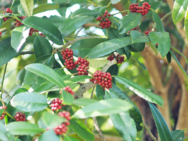 �^�����E