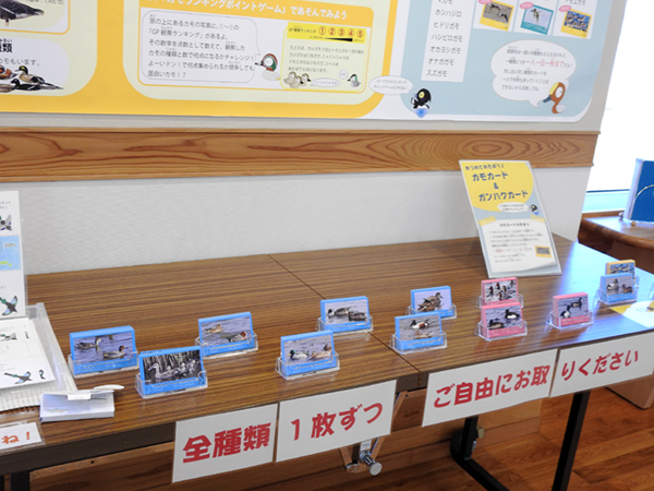 �J�[�h���v���[���g