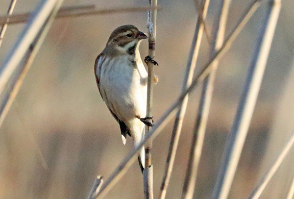 �I�W������