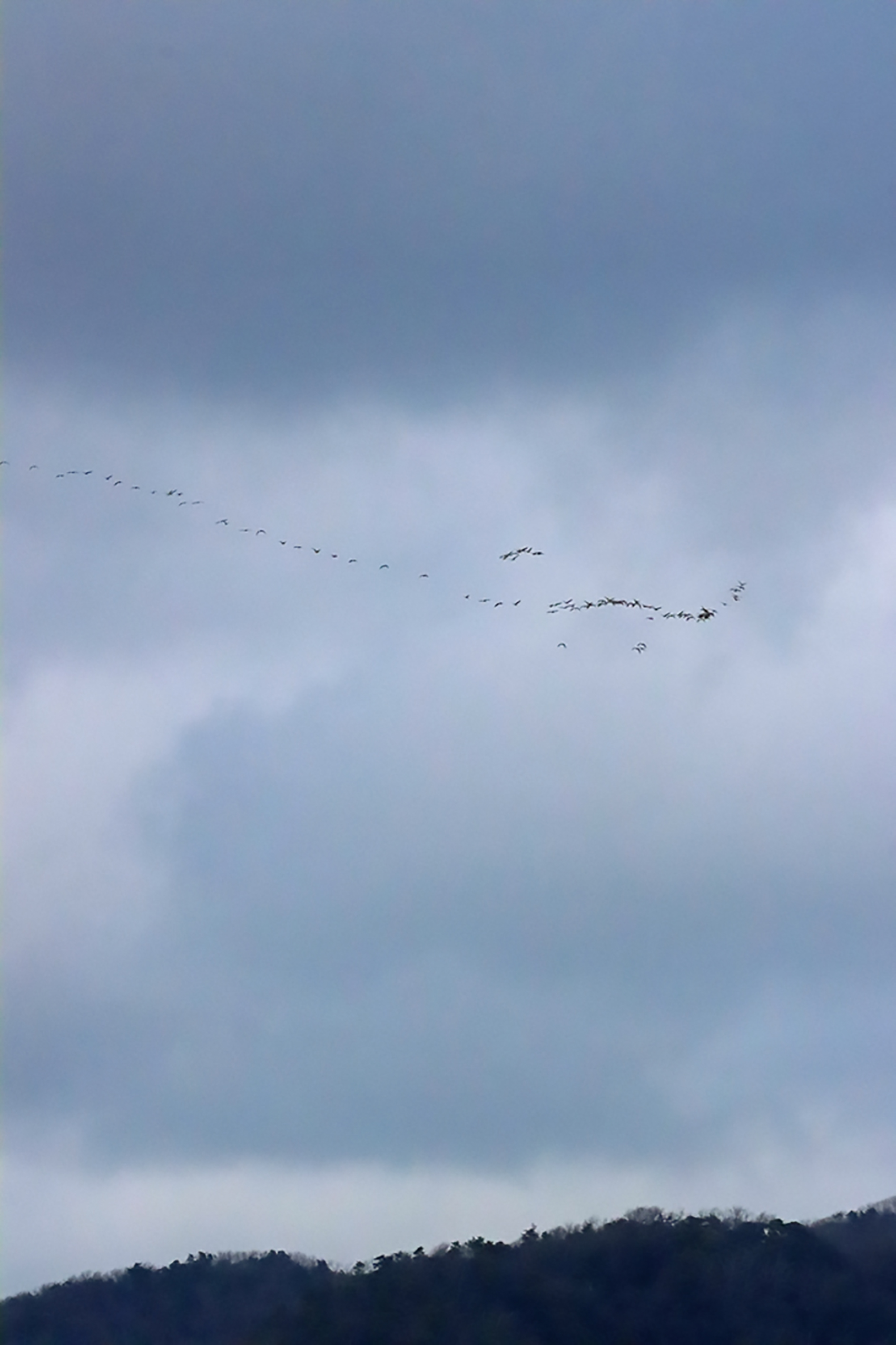 �}�K���k�A