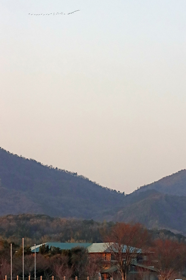 �}�K���k�A