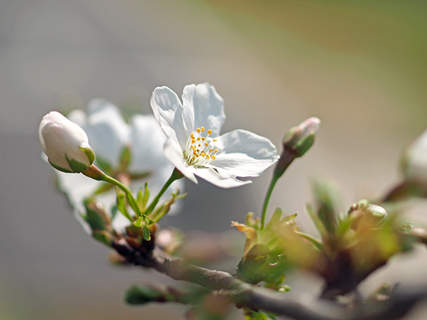 �I�I�V�}�U�N��