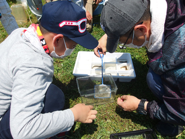 �ώ@��̂悤��