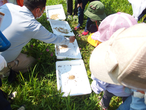 �ώ@��̂悤��