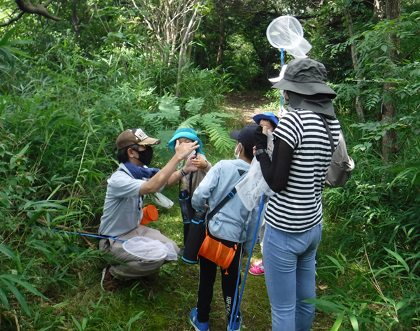 �ώ@��̂悤��