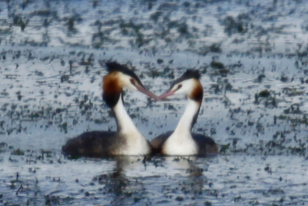 �J�������J�C�c�u��