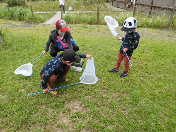 �ώ@��̂悤��