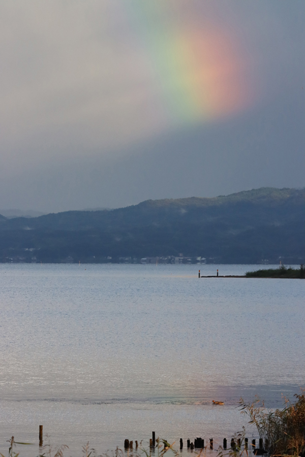 ���ƃq�h���K��