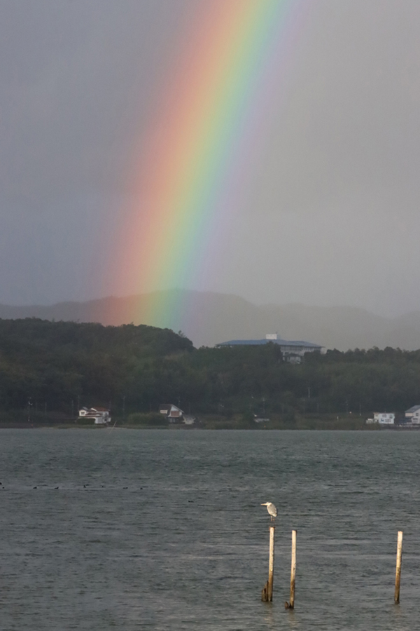 ���ƃA�I�T�M