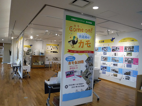 ���̂蓹��̂Ђ݂�