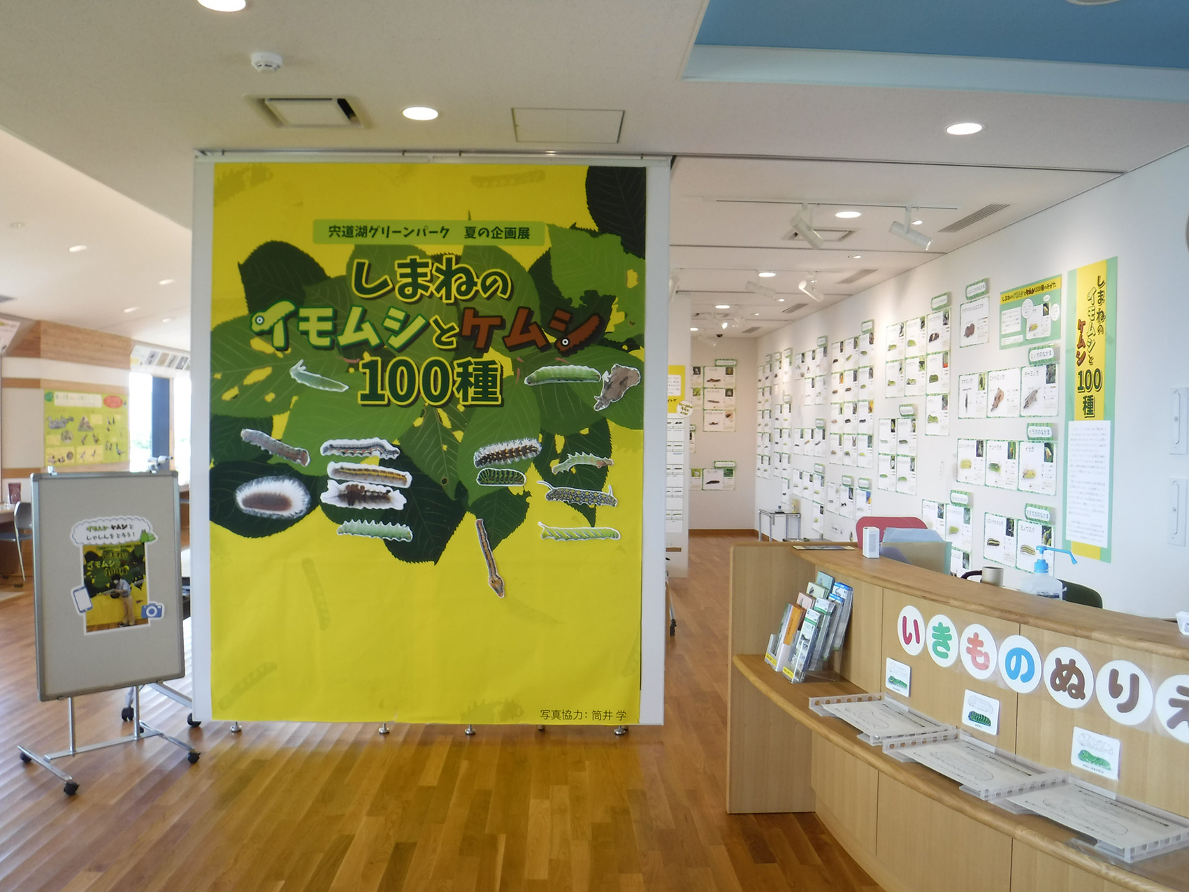 虫採り道具のひみつ