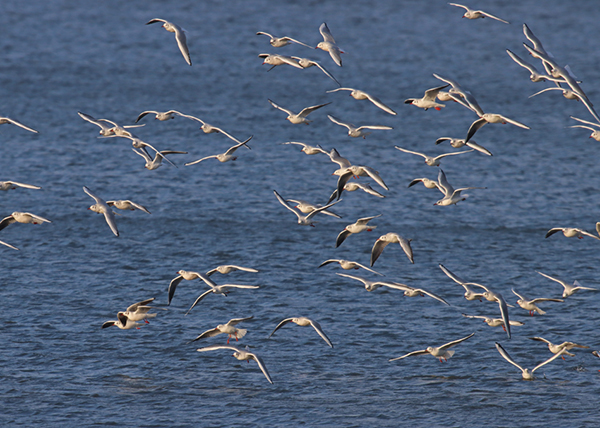 �����J����