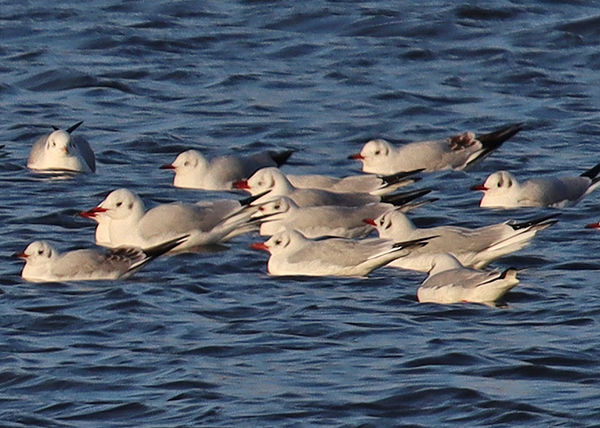 �����J����