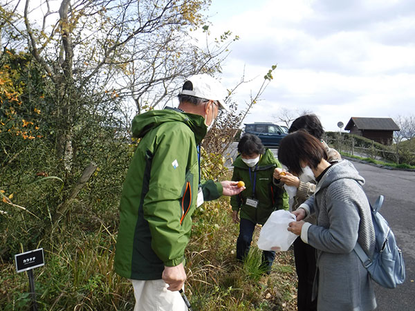 �ώ@��̂悤��