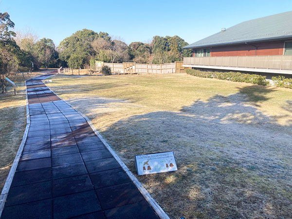 啓蟄の日の霜 啓蟄の日の霜