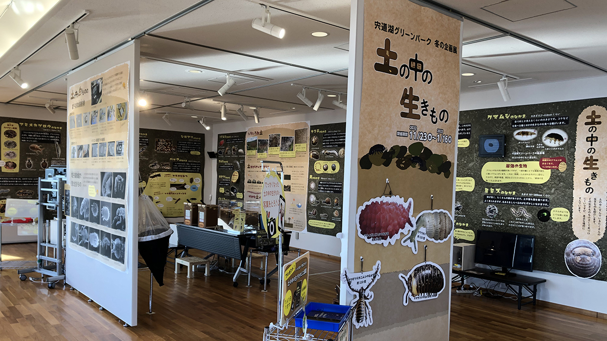 土の中の生きもの