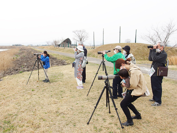 �ώ@��̂悤��