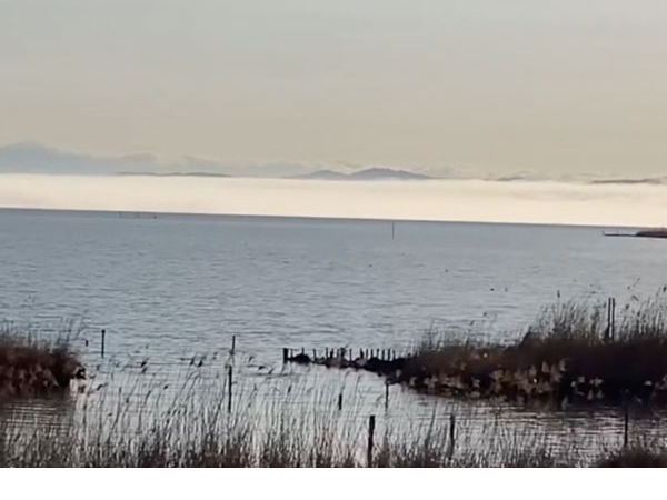 宍道湖の霧 宍道湖の霧