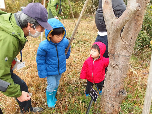 �ώ@��̂悤��