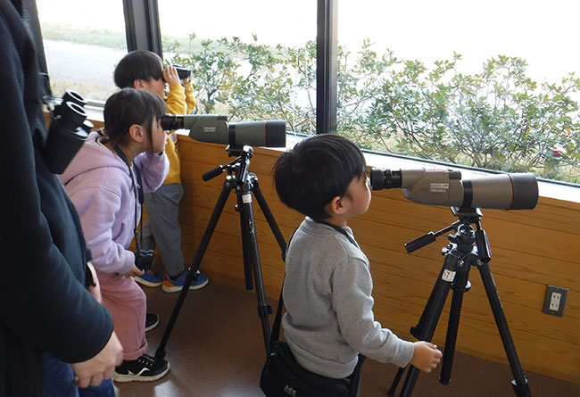 ���傱���ƃK�C�h�̂悤��