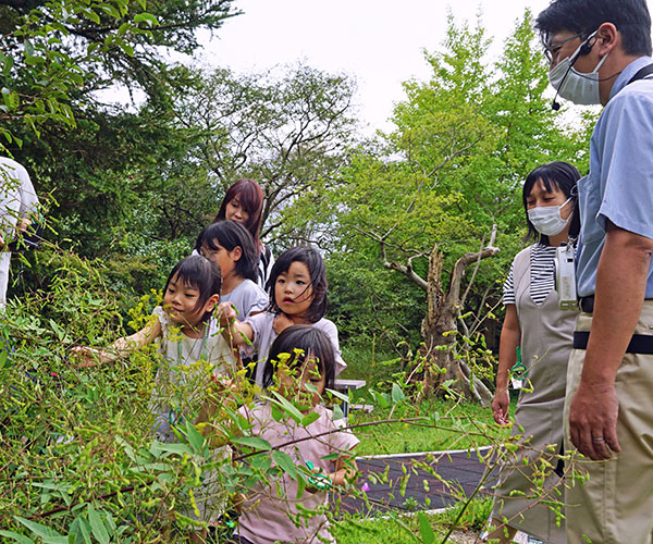 ���傱���ƃK�C�h�̂悤��