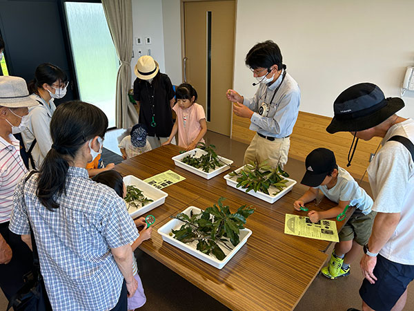 ���傱���ƃK�C�h�̂悤��