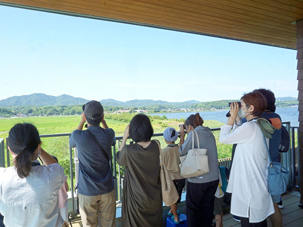 ���傱���ƃK�C�h�̂悤��