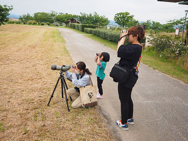 �K�C�h�̂悤��