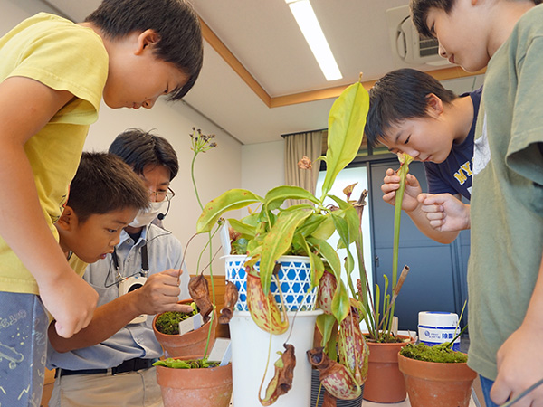 �K�C�h�̂悤��