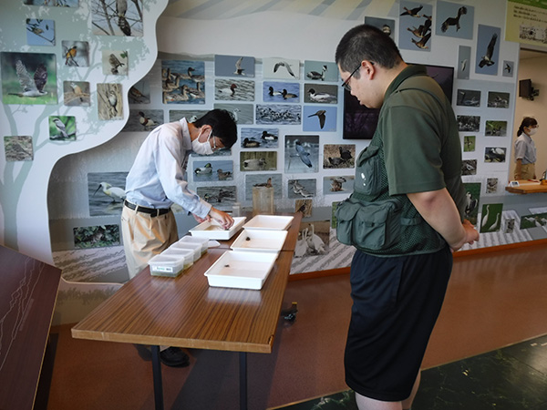 �ώ@�̂悤��