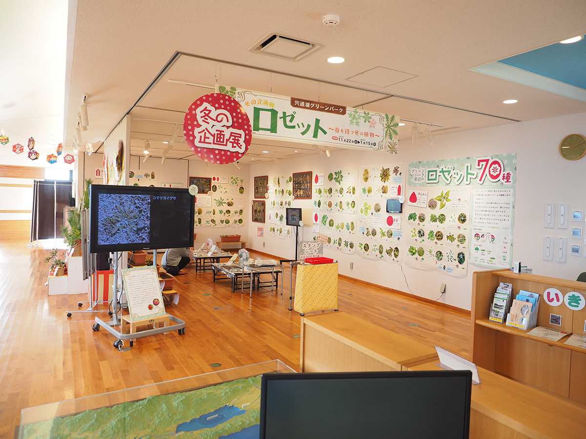 ロゼット ロゼット