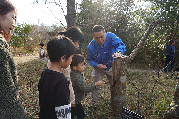 �ώ@�̂悤��