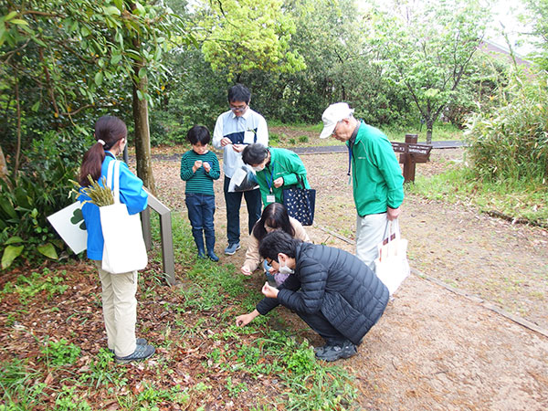 �ώ@��̂悤��