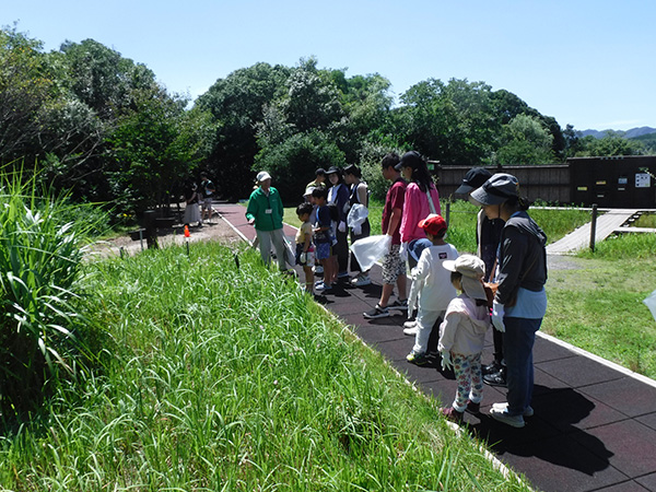 �ώ@��̂悤��