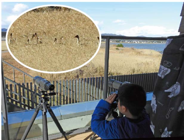 �ώ@�̂悤��