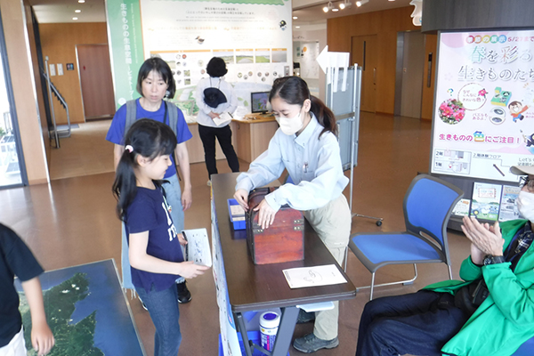 GW�C�x���g