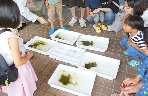 �K�C�h�̂悤��